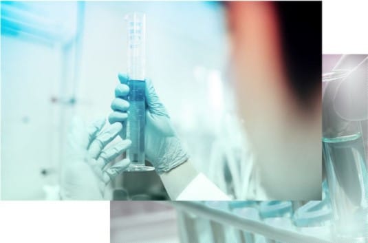 Elaboration<br><strong>of technical reports of microbiology according to ABNT standards</strong>