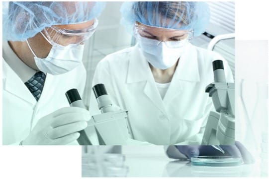 Team training<br><strong>to prepare them for the use of products within the manufacturing processes</strong>
