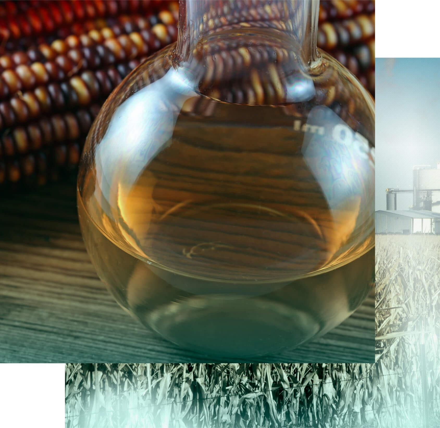 Discover our product line in<br><strong>Ethanol</strong>