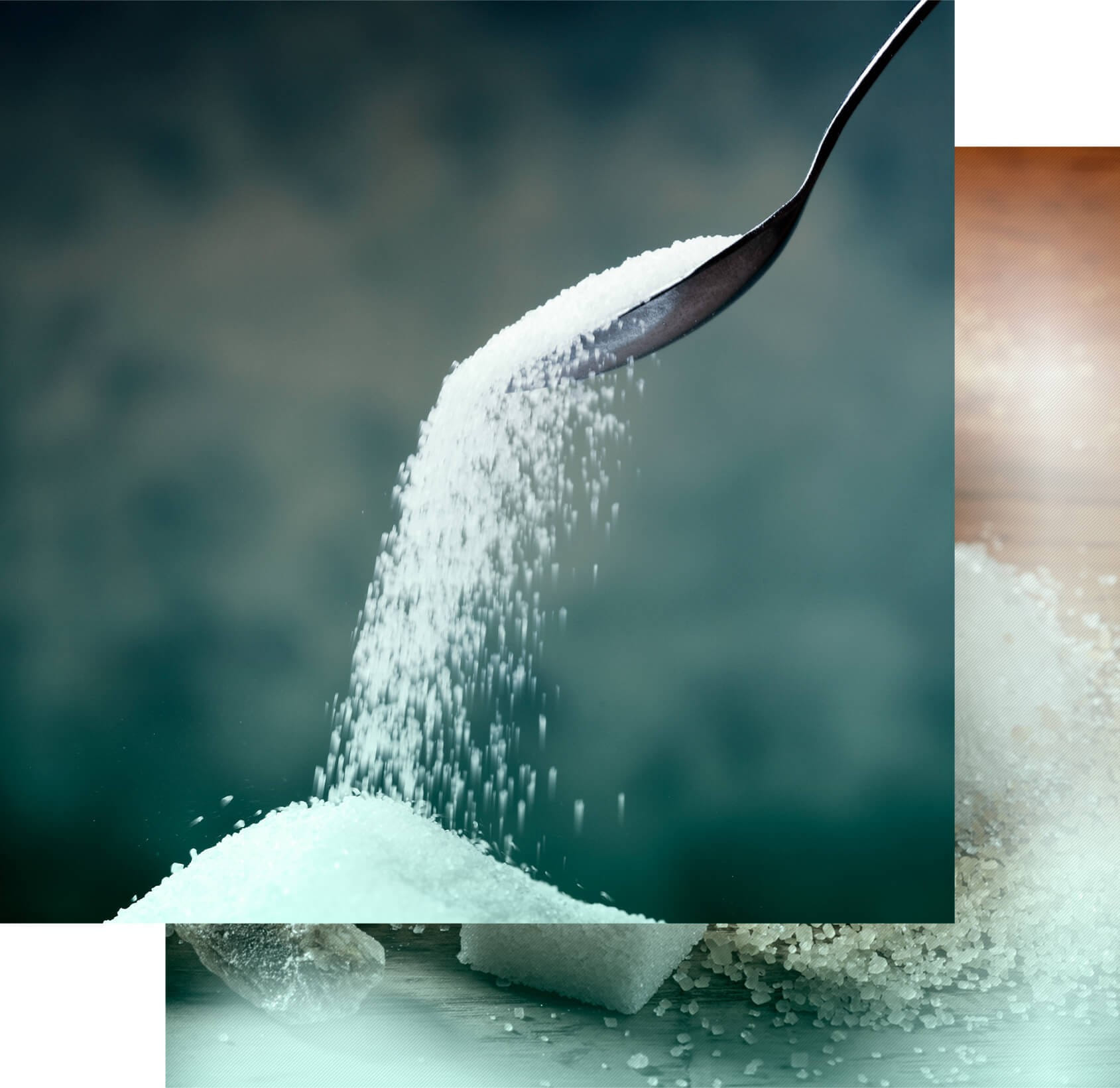 Discover our line of products in<br><strong>Sugar</strong>